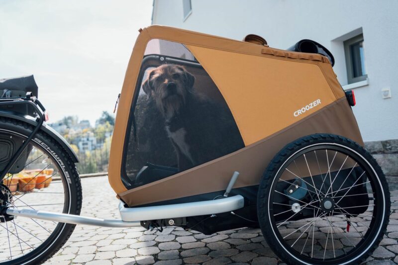 Hundeanhänger Croozer Dog Tammo – Bild 3
